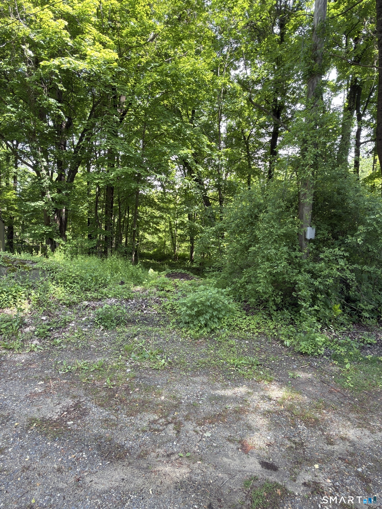 319 White Oak Trail