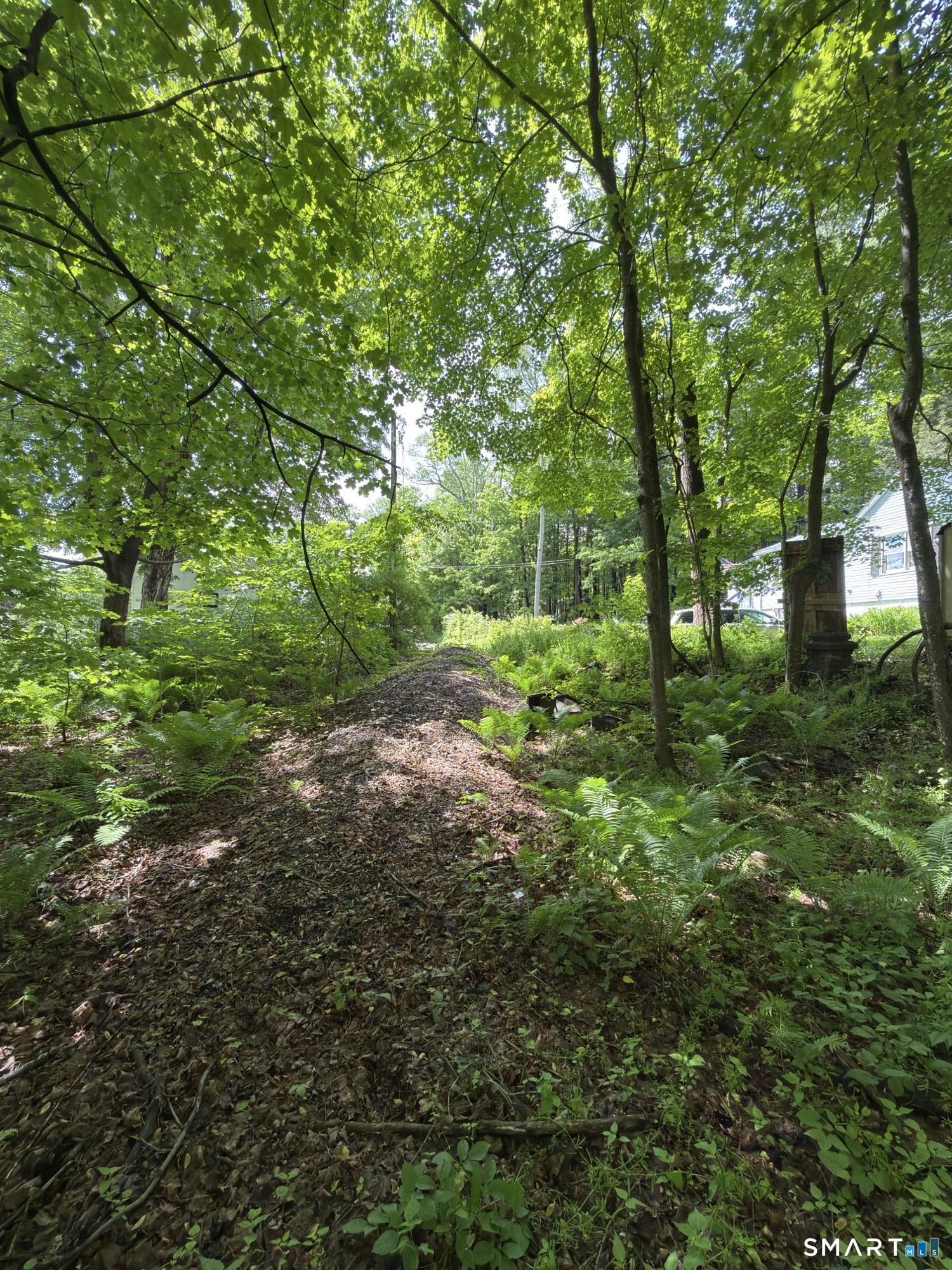319 White Oak Trail
