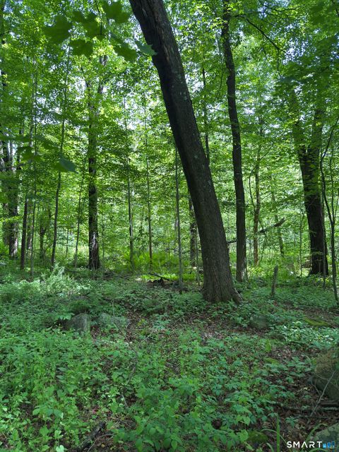 Photo of 319 White Oak Trail, Winchester, CT 06098 (MLS # 24177619)