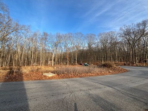 Photo of Echo Drive, Lebanon, CT 06249 (MLS # 24143913)