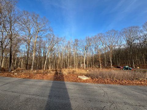 Tiny photo for Echo Drive, Lebanon, CT 06249 (MLS # 24143913)