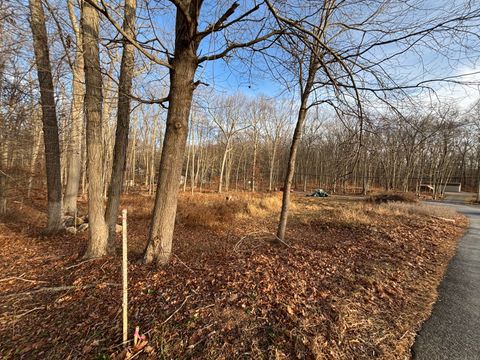 Tiny photo for Echo Drive, Lebanon, CT 06249 (MLS # 24143913)