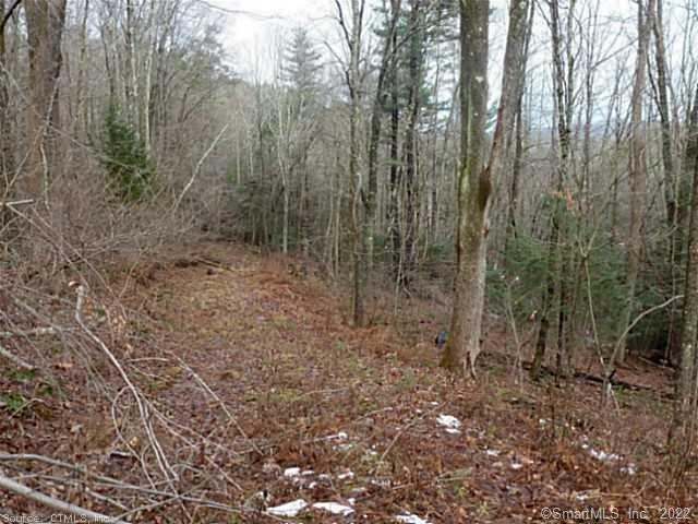 23 Deer Run Road