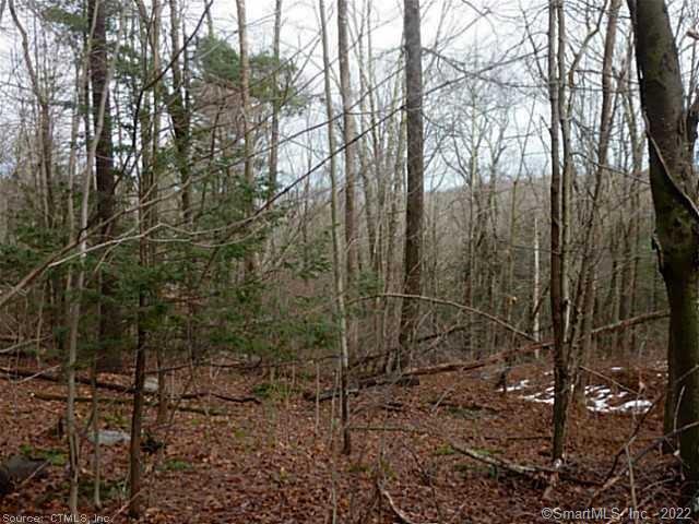 23 Deer Run Road