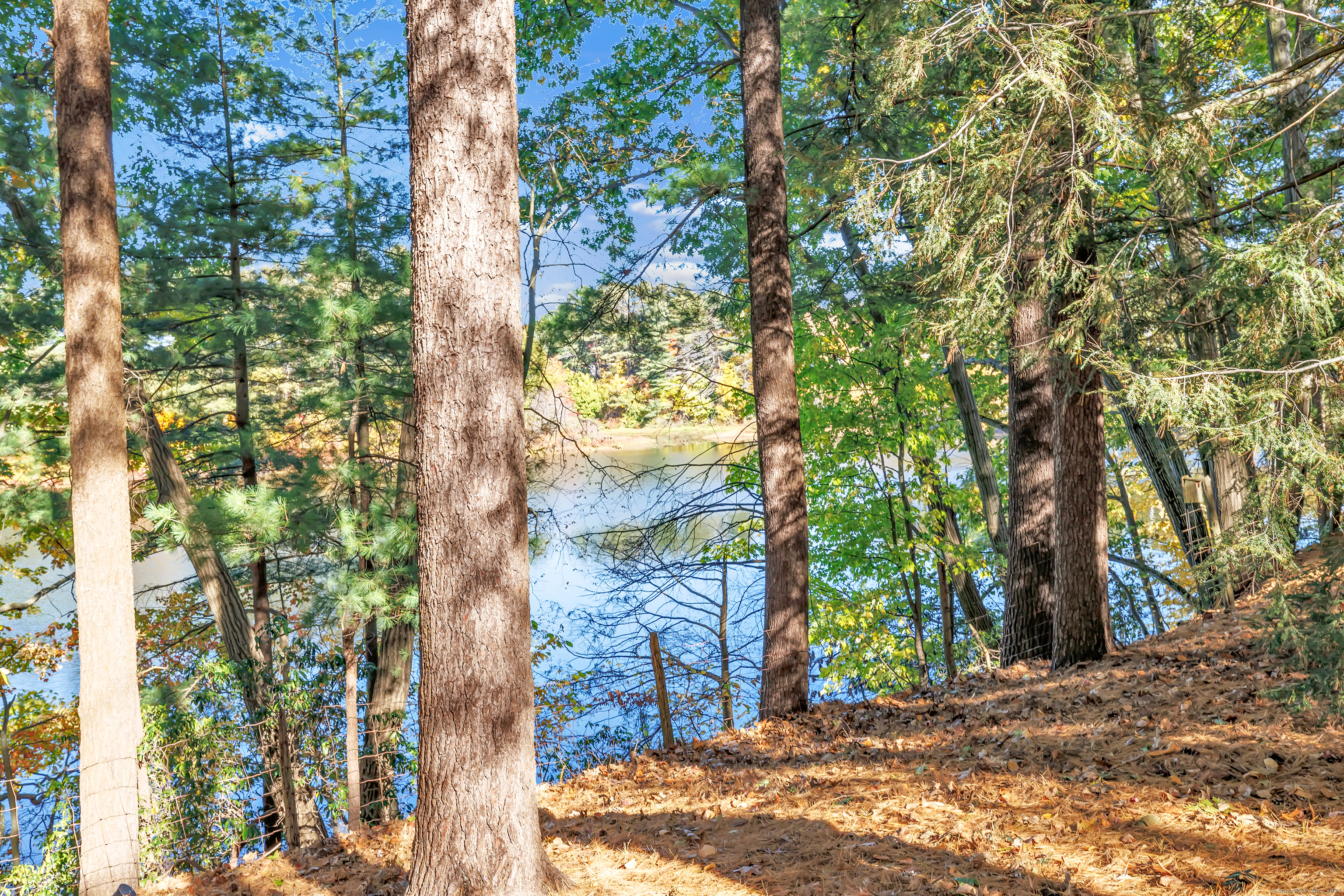 42 N Lake Drive #APT C2, Hamden, Connecticut image 35