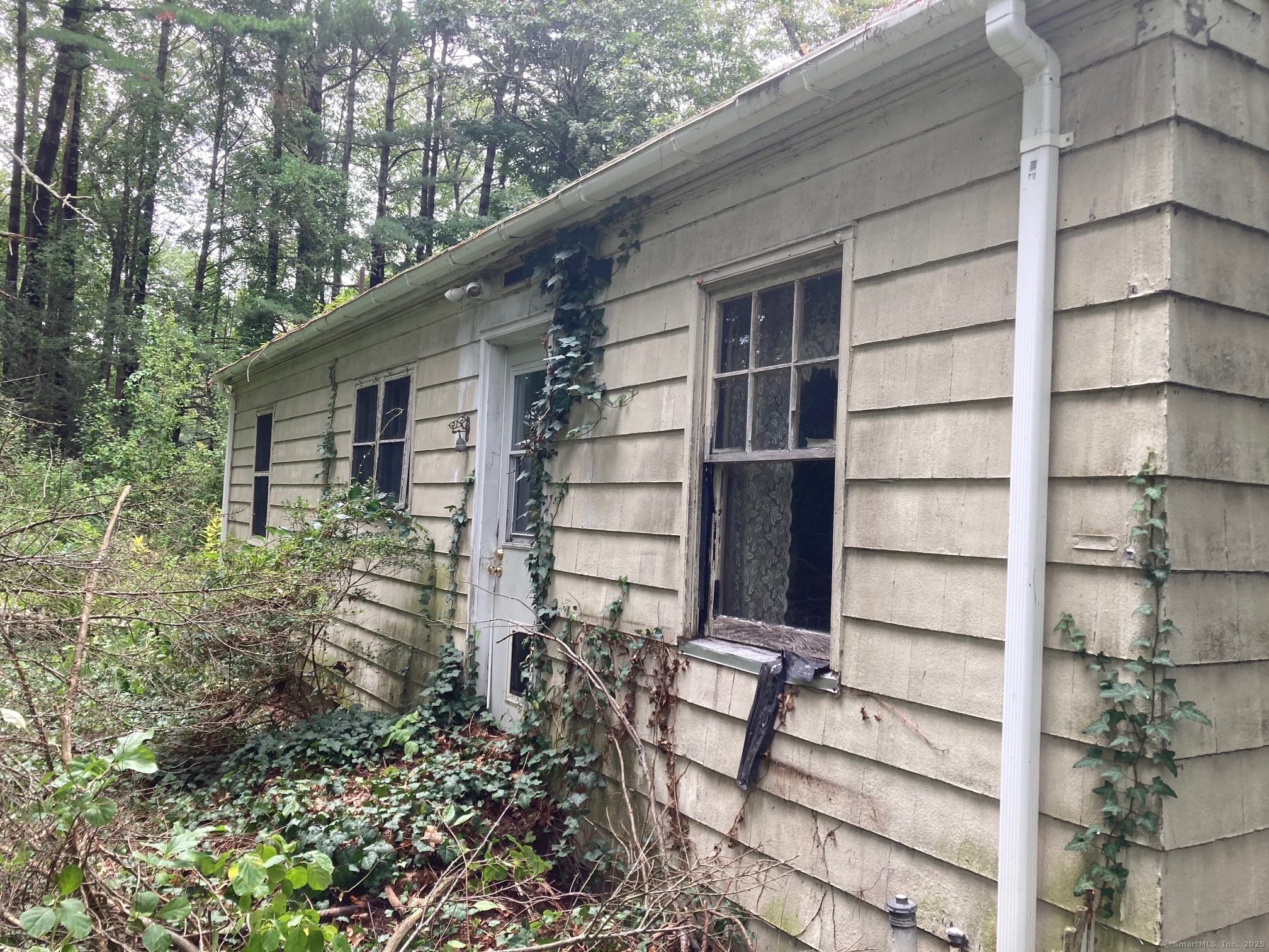 537 Bushy Hill Road
