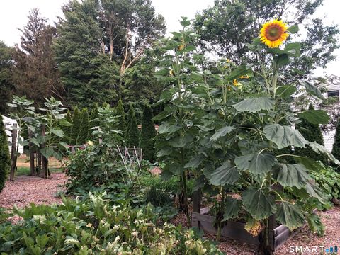 Tiny photo for 34 Hurd Bridge Road, Clinton, CT 06413 (MLS # 24152596)