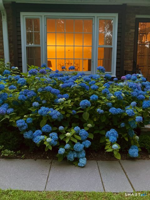 Tiny photo for 65 Main Street #21, Essex, CT 06442 (MLS # 24146714)