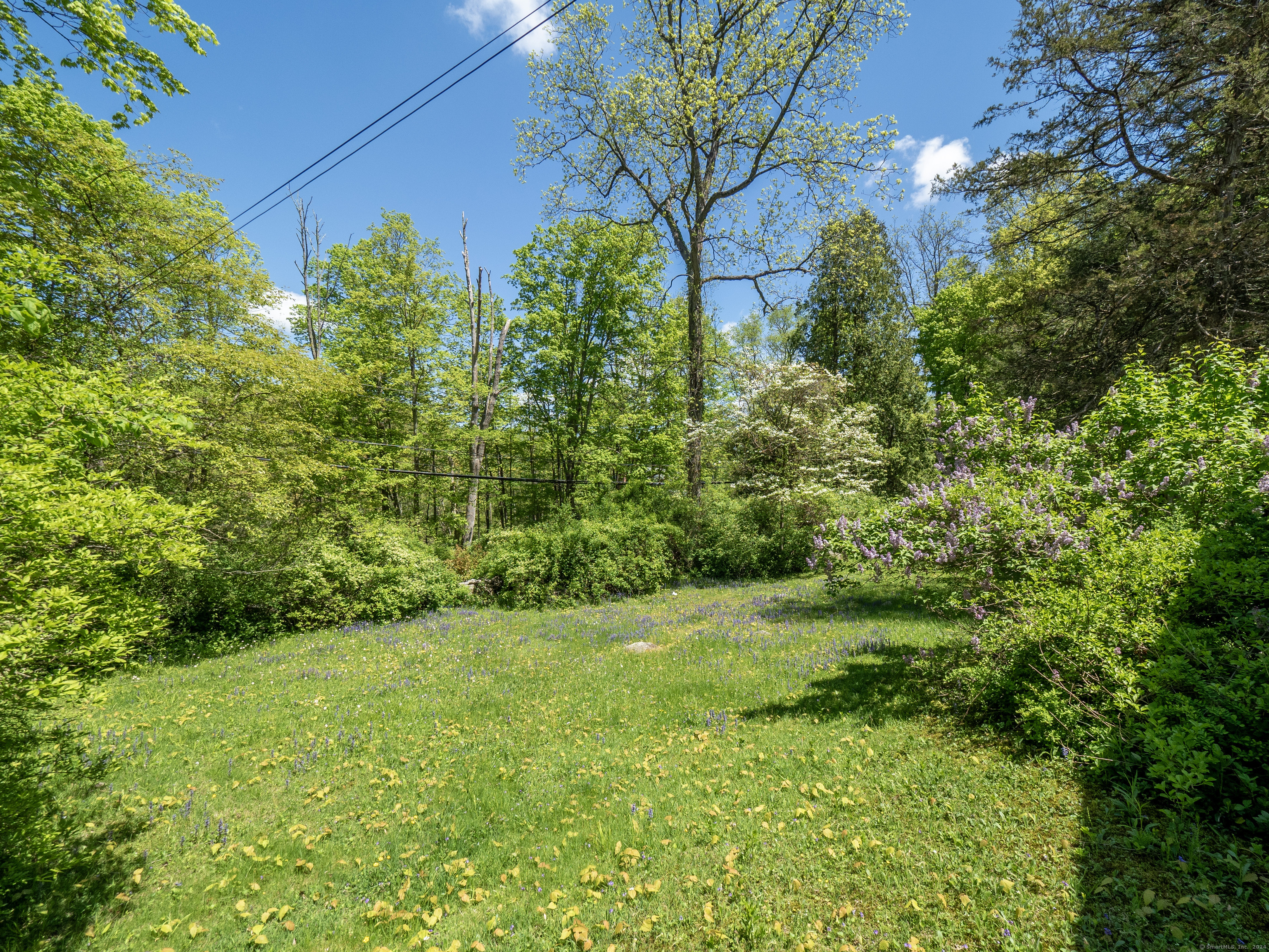 209 Peaceable Street