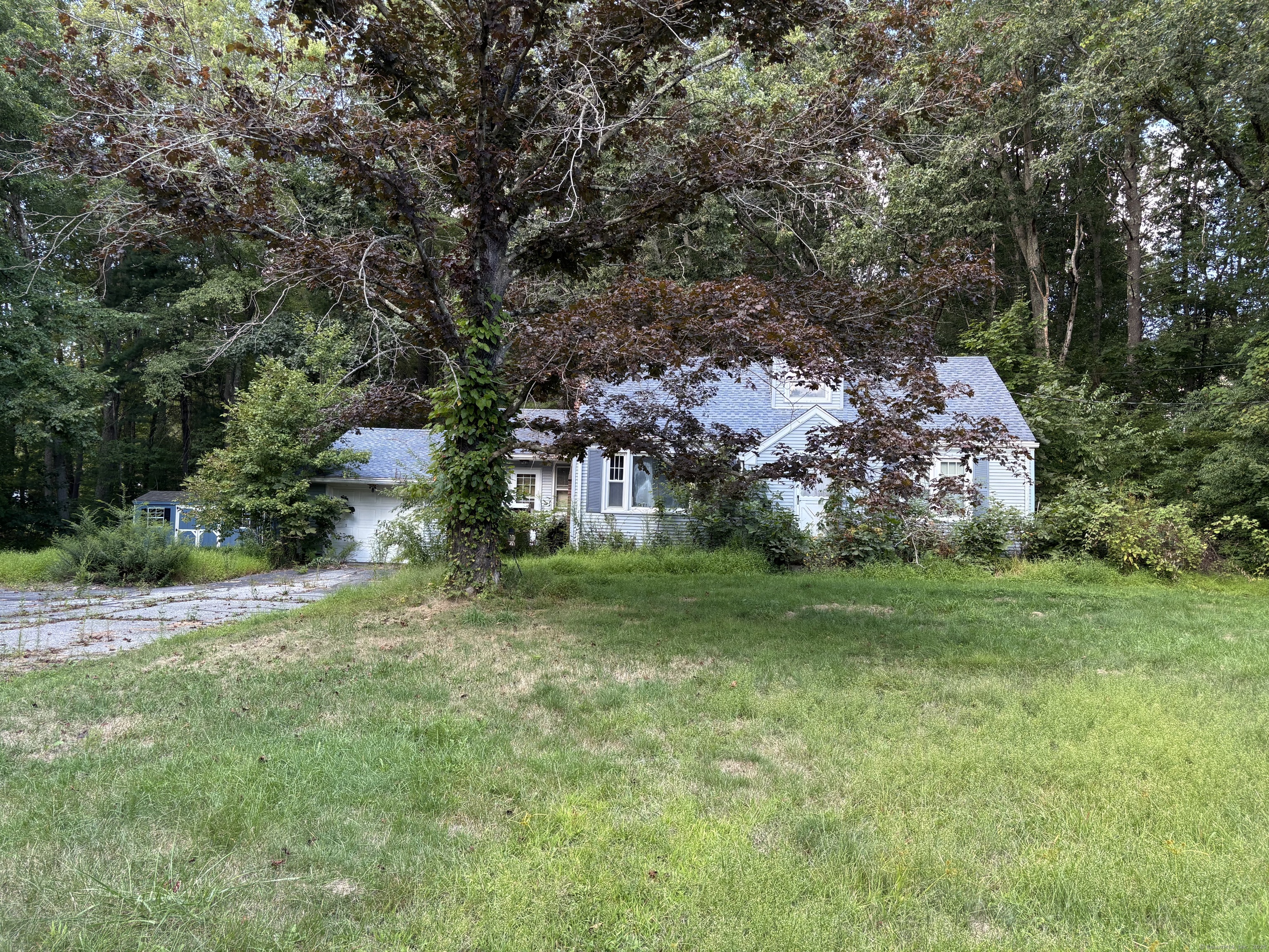 14 Collelo Avenue