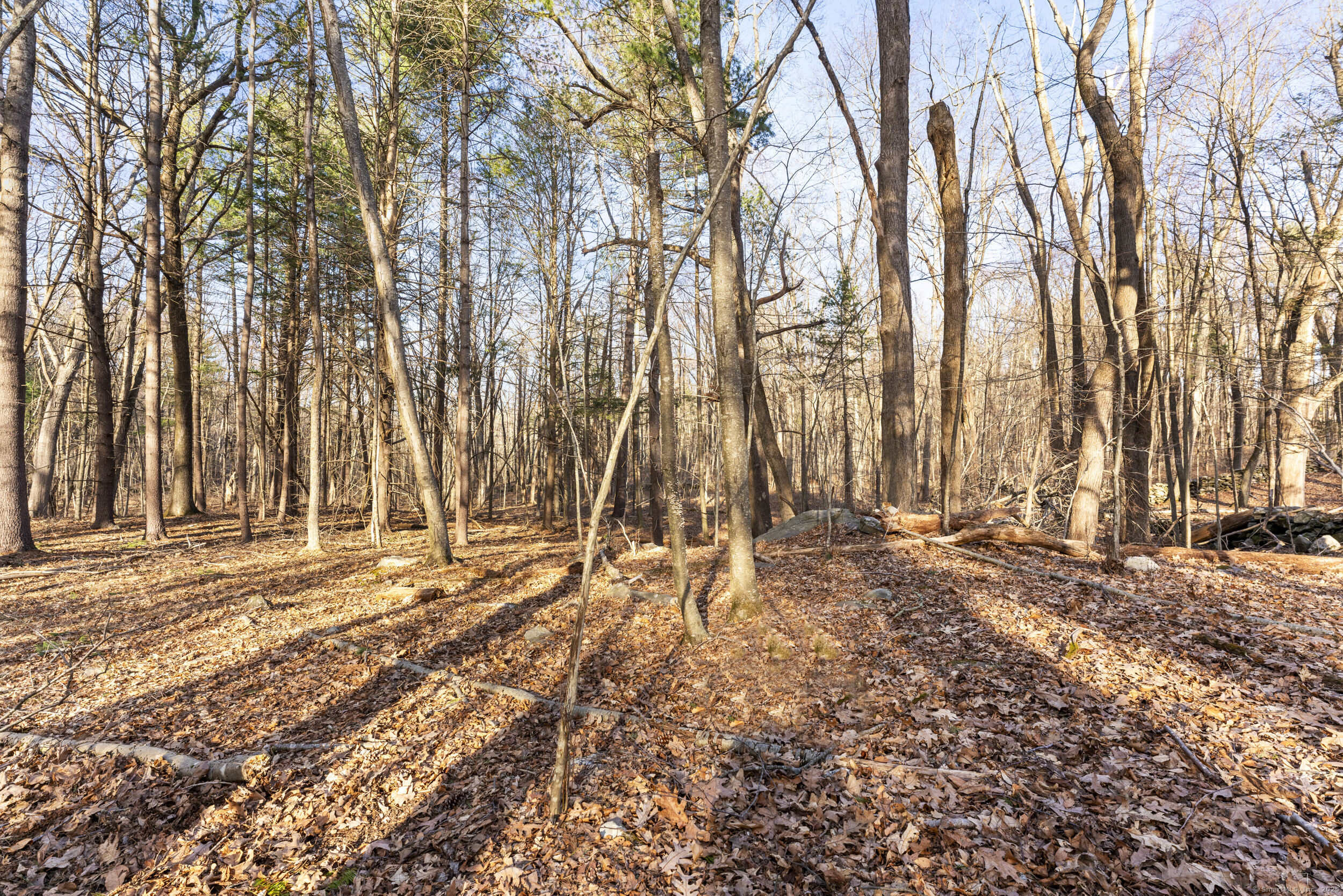 000 Joy Road, Woodstock, Connecticut image 6