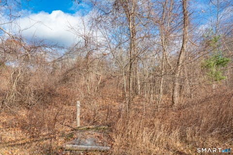 Tiny photo for 317 Merrow Road, Tolland, CT 06084 (MLS # 24201009)