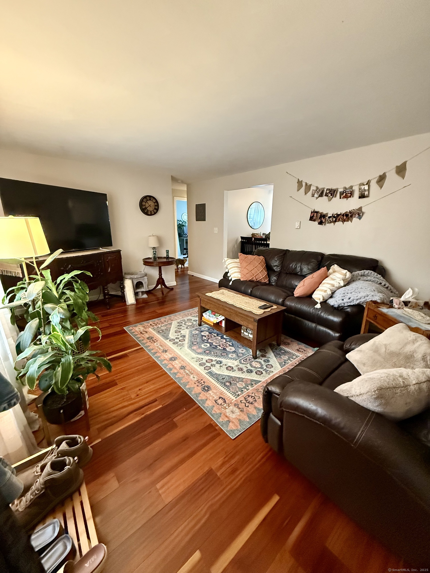 257 Cooke Street APT D