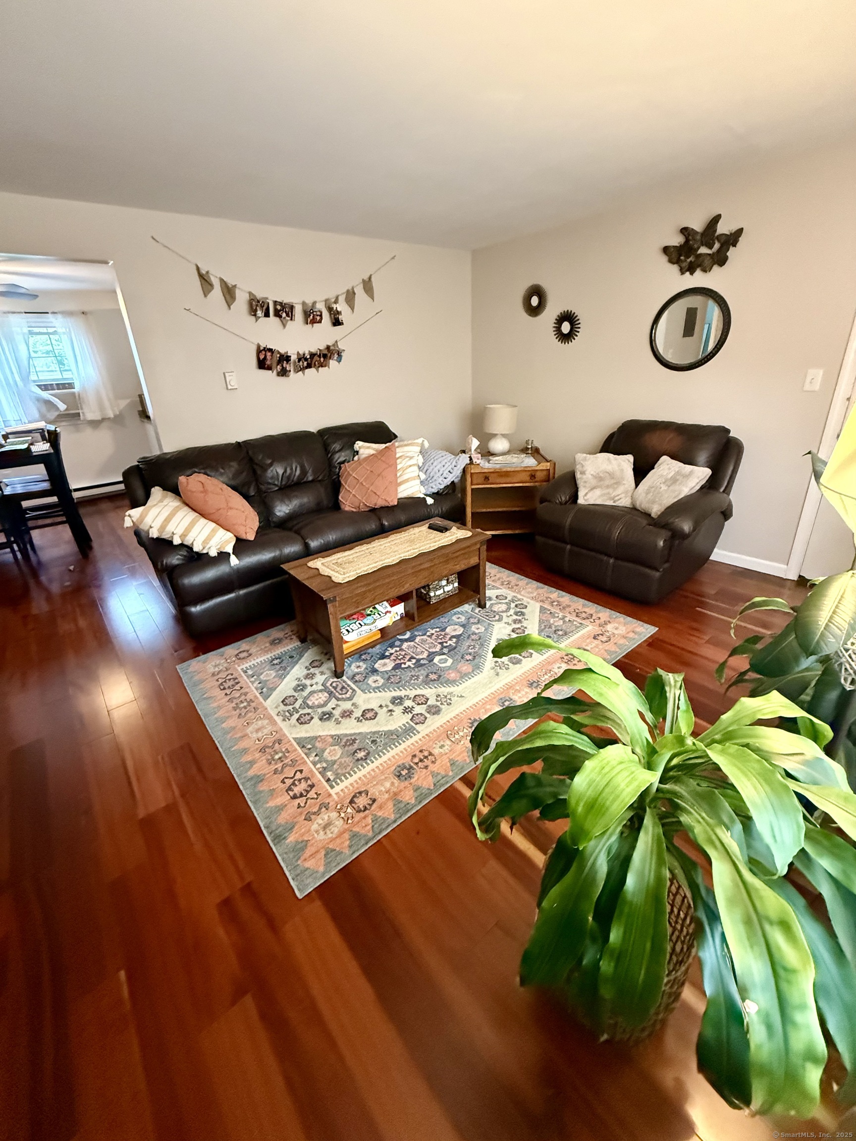 257 Cooke Street APT D