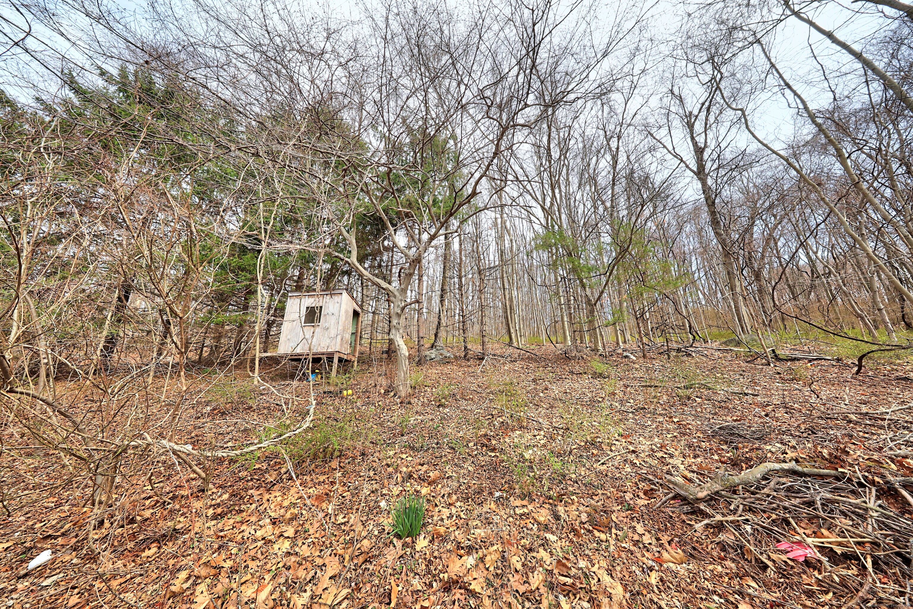 67 Emile Avenue, Watertown, Connecticut image 30