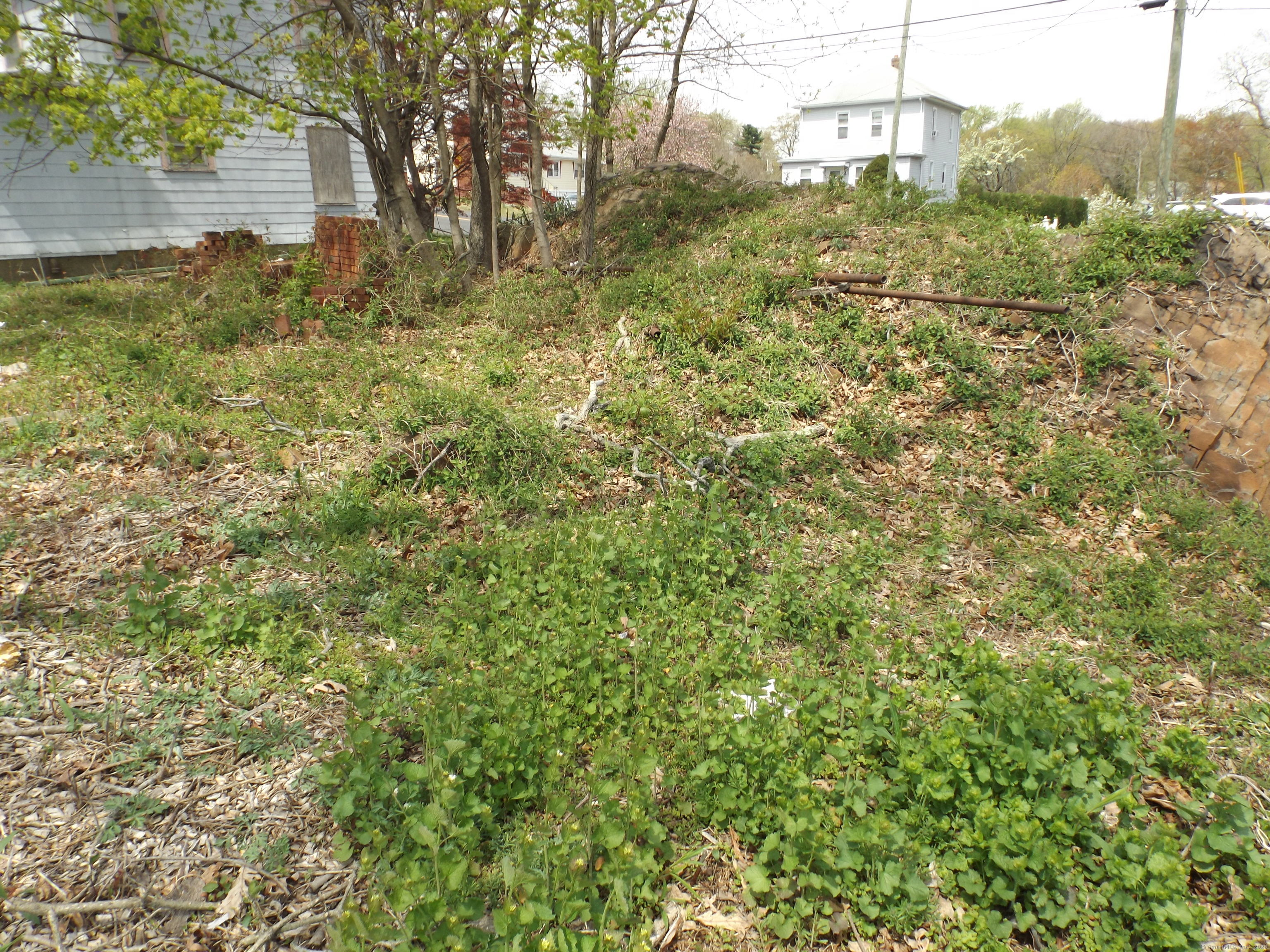 219 Exeter Street, Bridgeport, Connecticut image 5