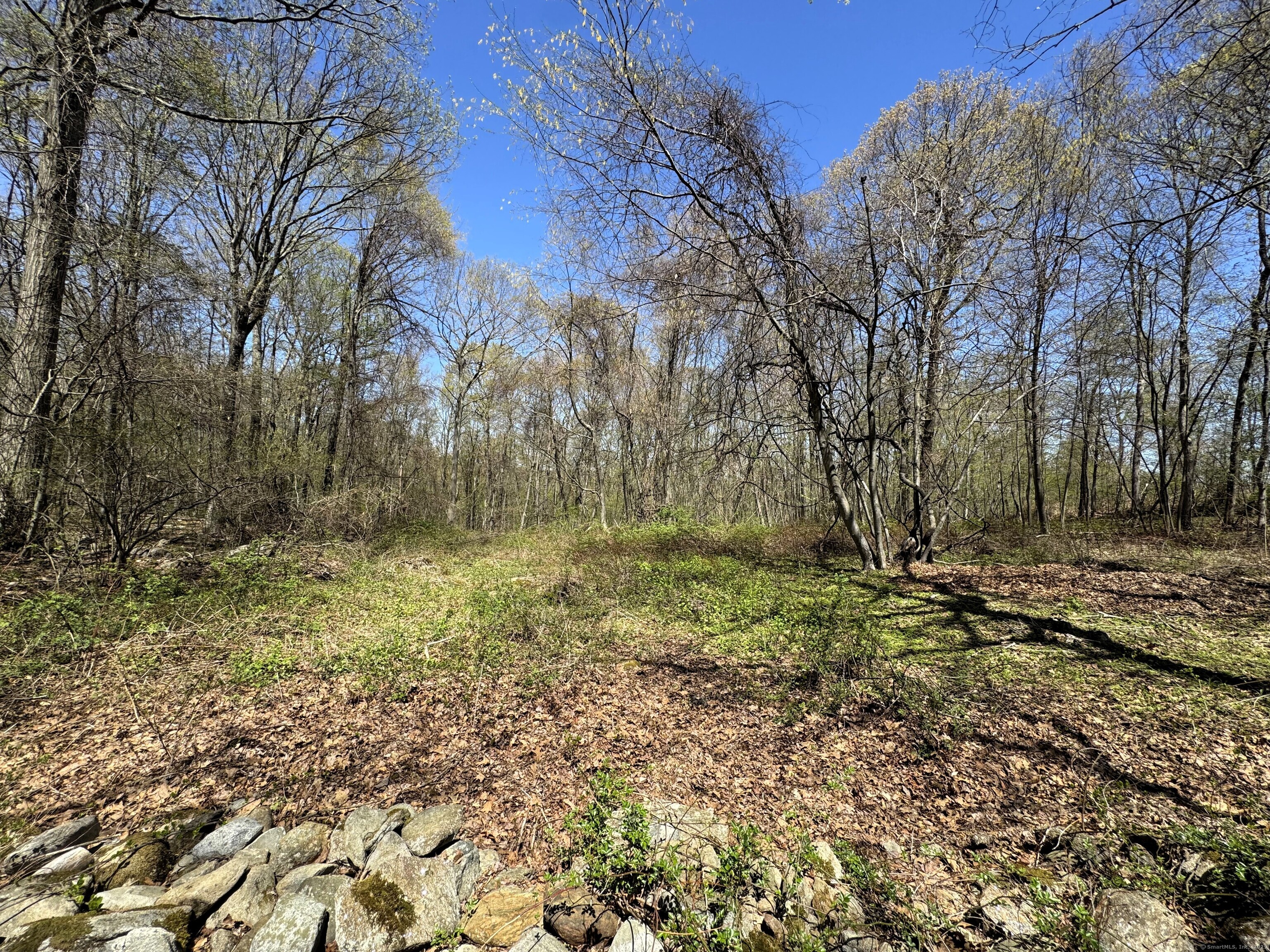 653 Andrew Mountain Road, Naugatuck, Connecticut image 33