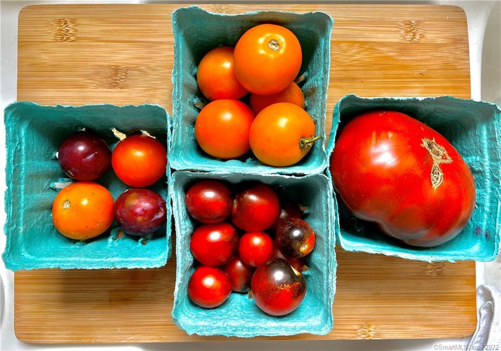 Stonington, Connecticut 06378, United States, 4 Bedrooms Bedrooms, ,4 BathroomsBathrooms,Residential,Active,120263