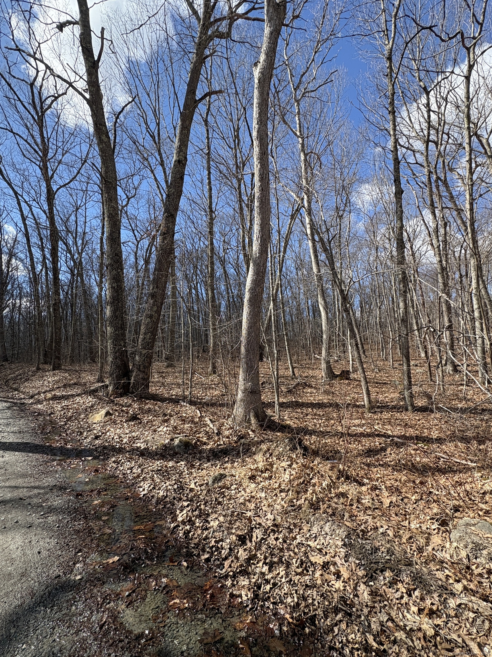 Davidson Road, Colchester, Connecticut image 11