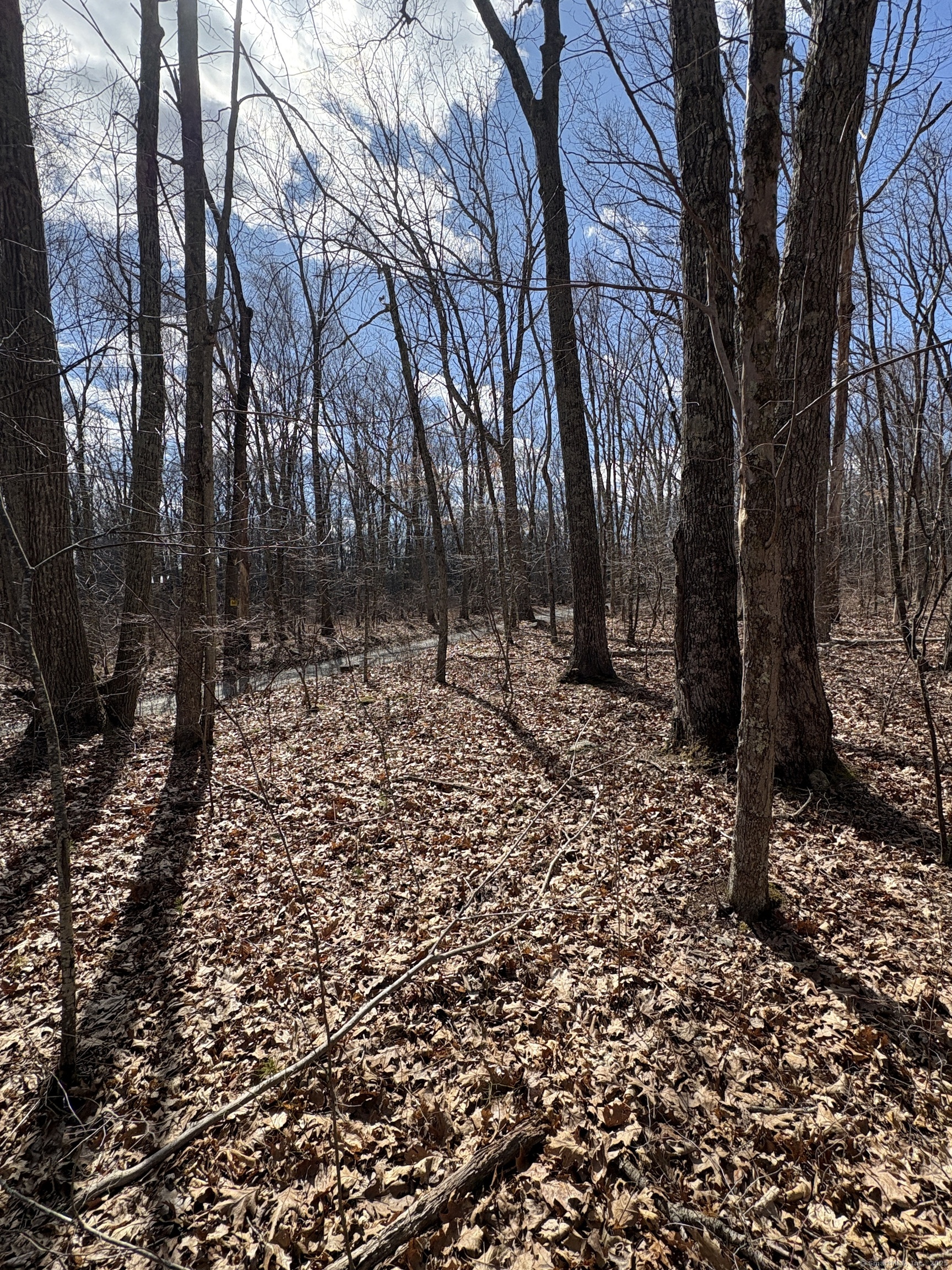 Davidson Road, Colchester, Connecticut image 14