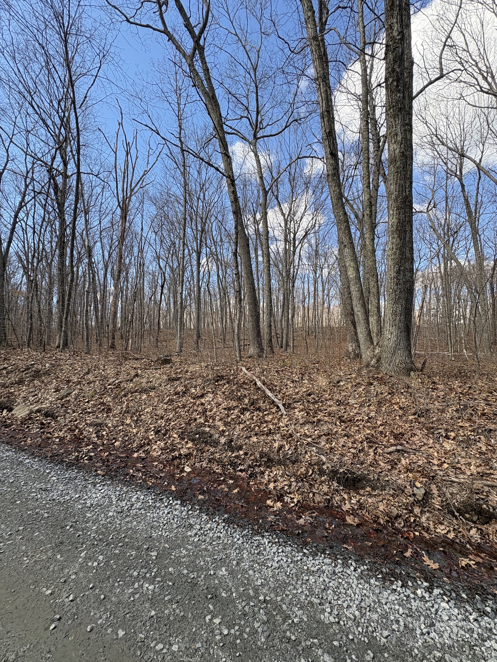 Davidson Road, Colchester, Connecticut image 16