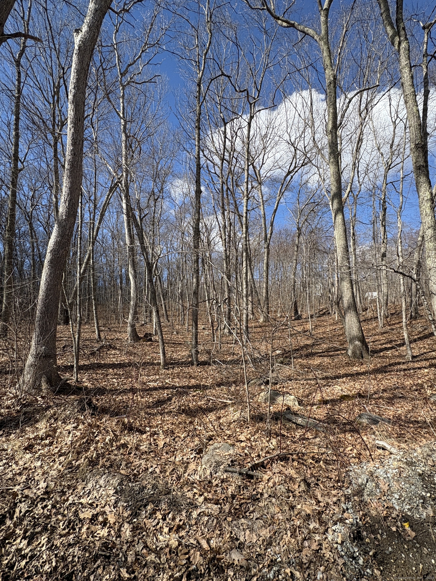 Davidson Road, Colchester, Connecticut image 3