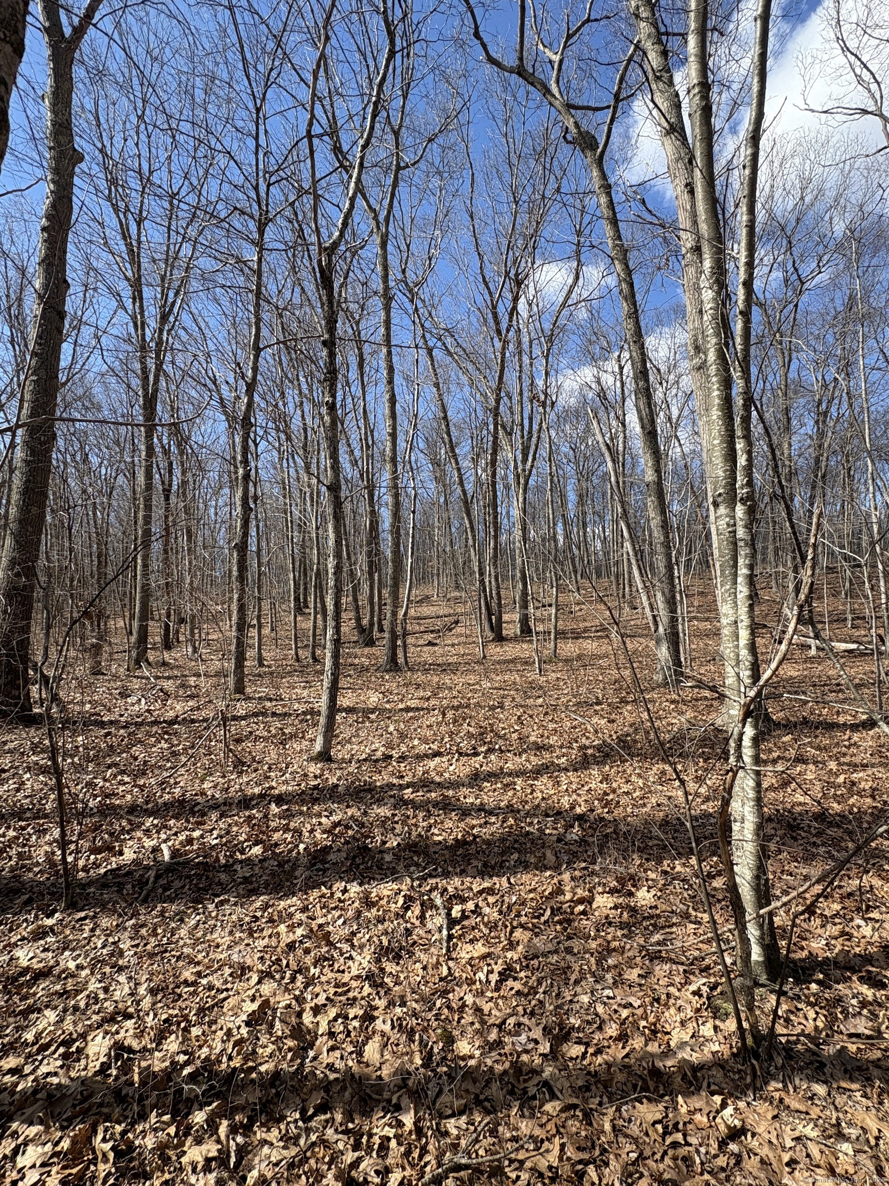Davidson Road, Colchester, Connecticut image 13