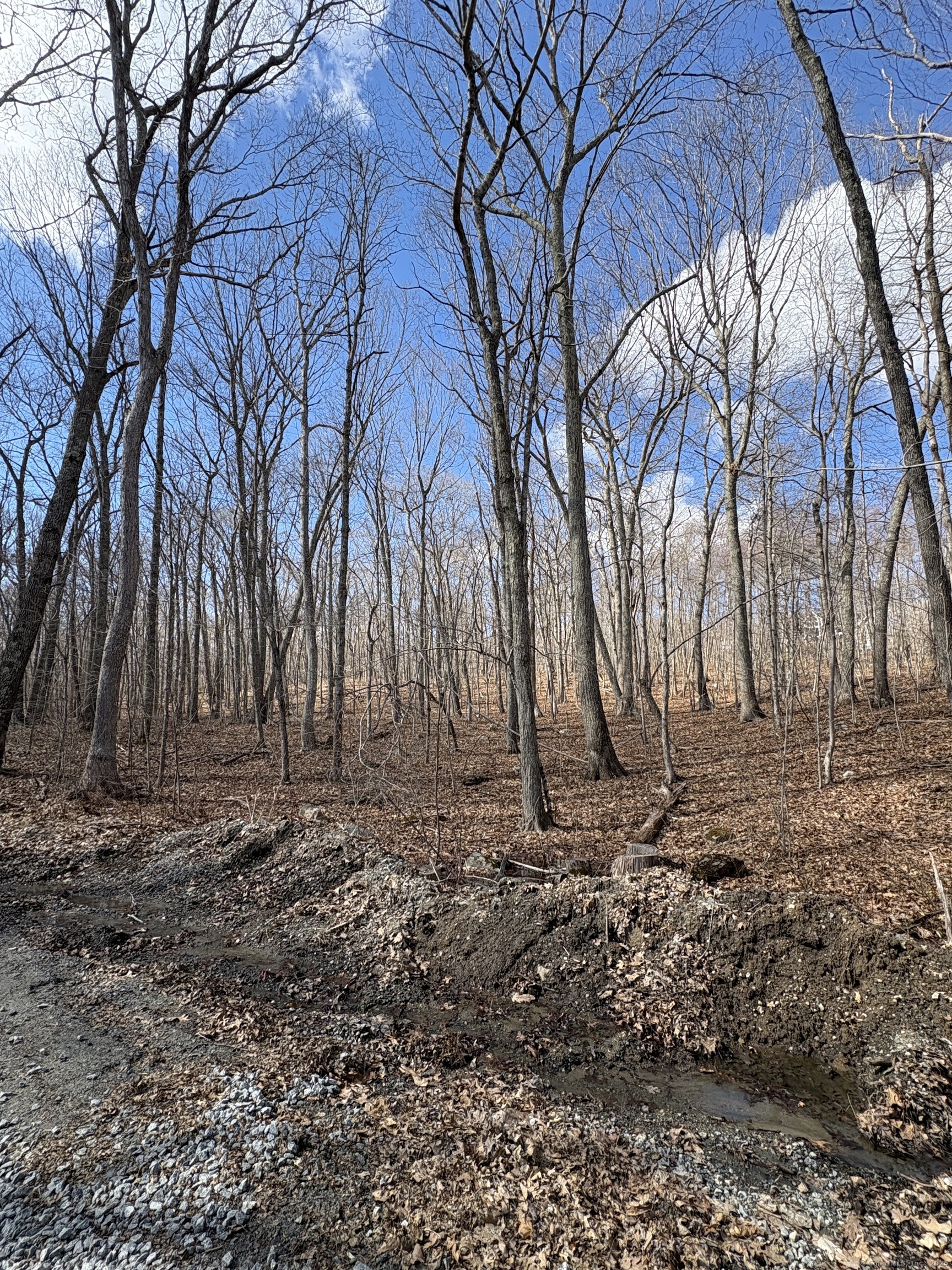Davidson Road, Colchester, Connecticut image 2