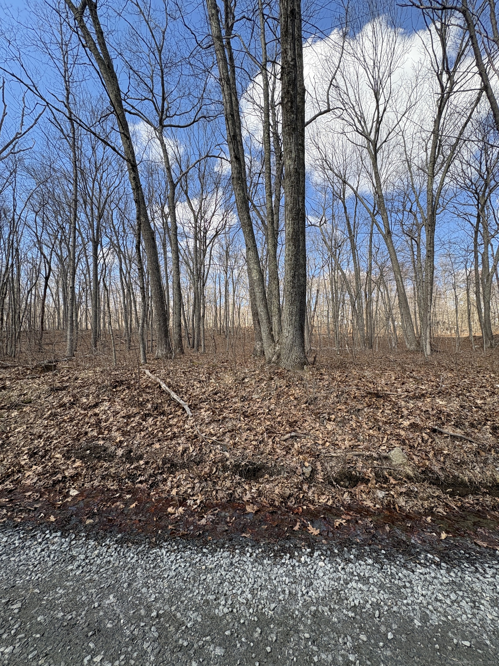 Davidson Road, Colchester, Connecticut image 17