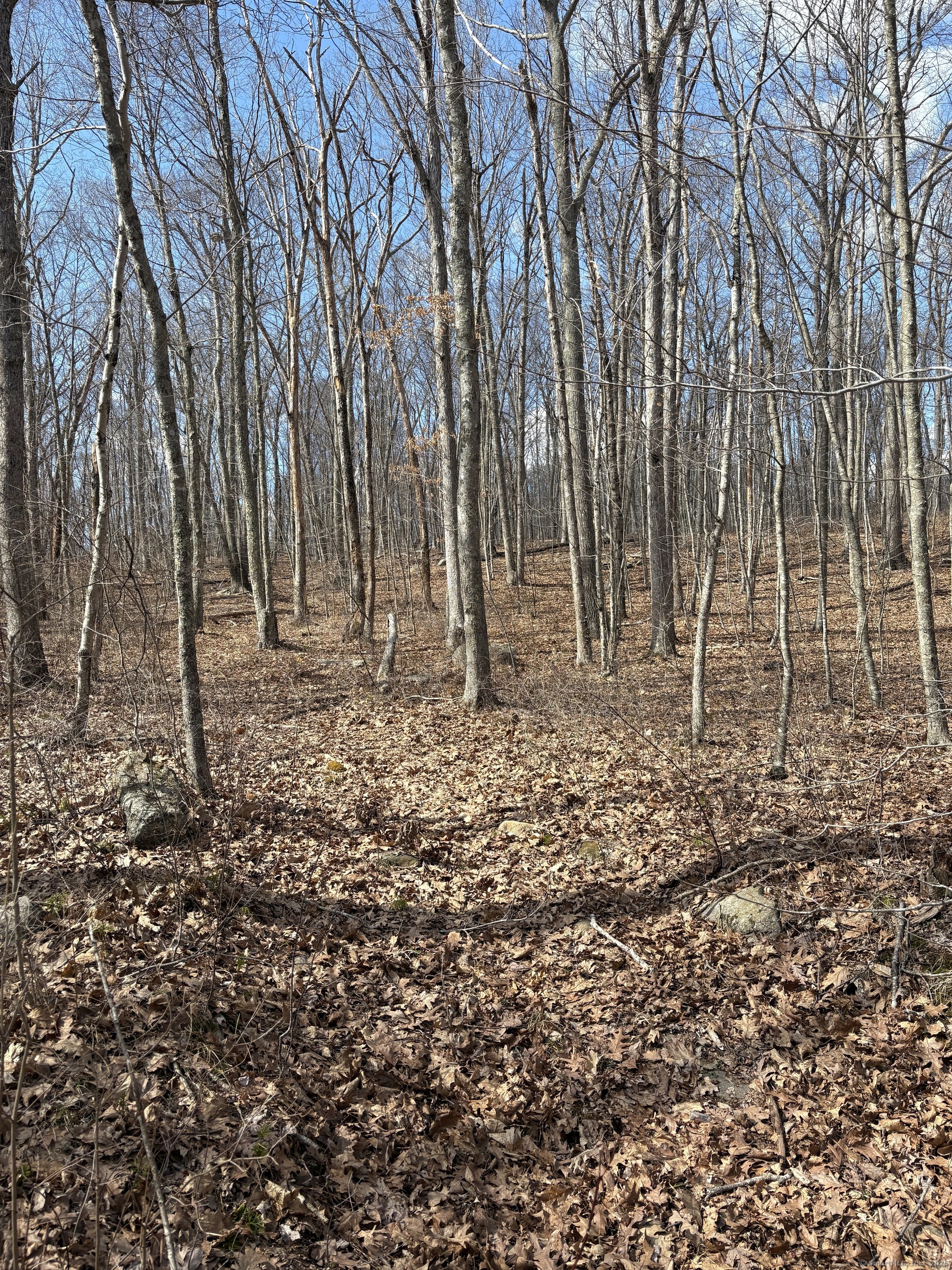 Davidson Road, Colchester, Connecticut image 18