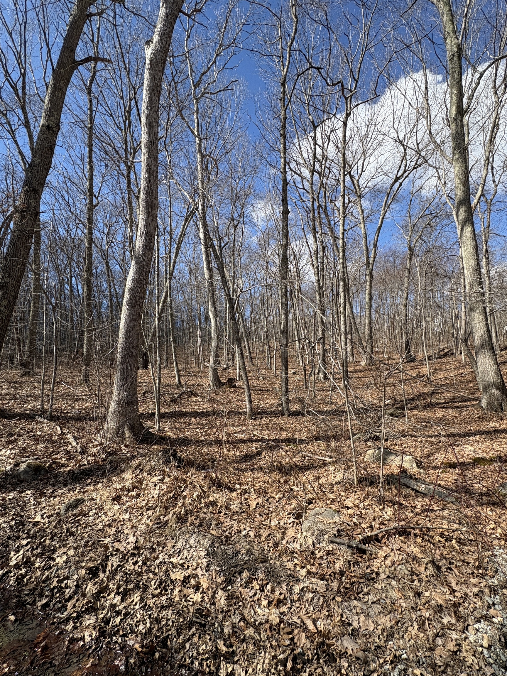 Davidson Road, Colchester, Connecticut image 9