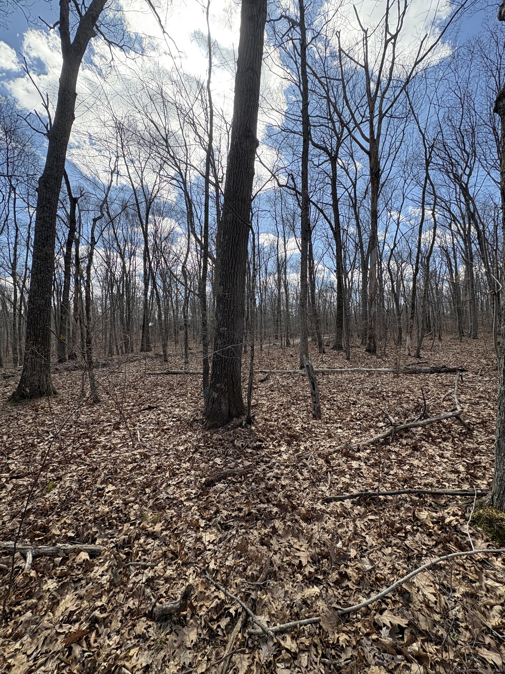 Davidson Road, Colchester, Connecticut image 5