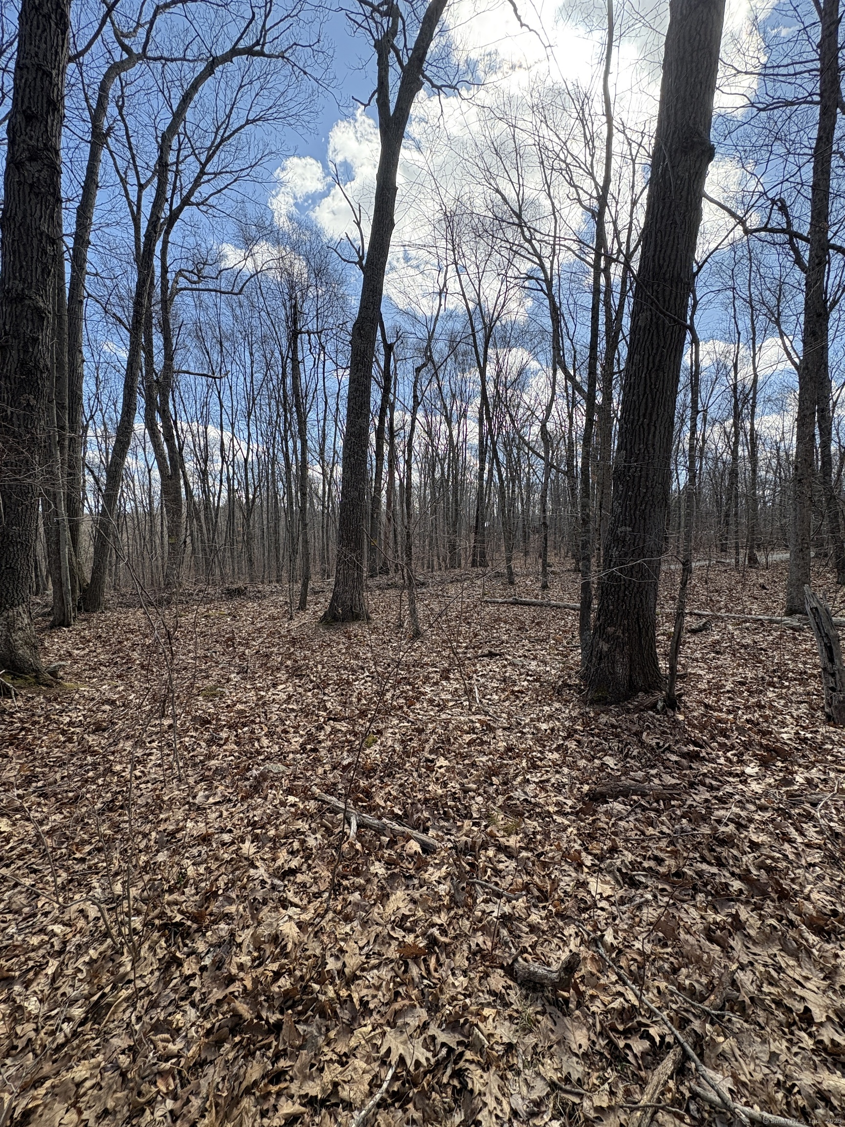 Davidson Road, Colchester, Connecticut image 15