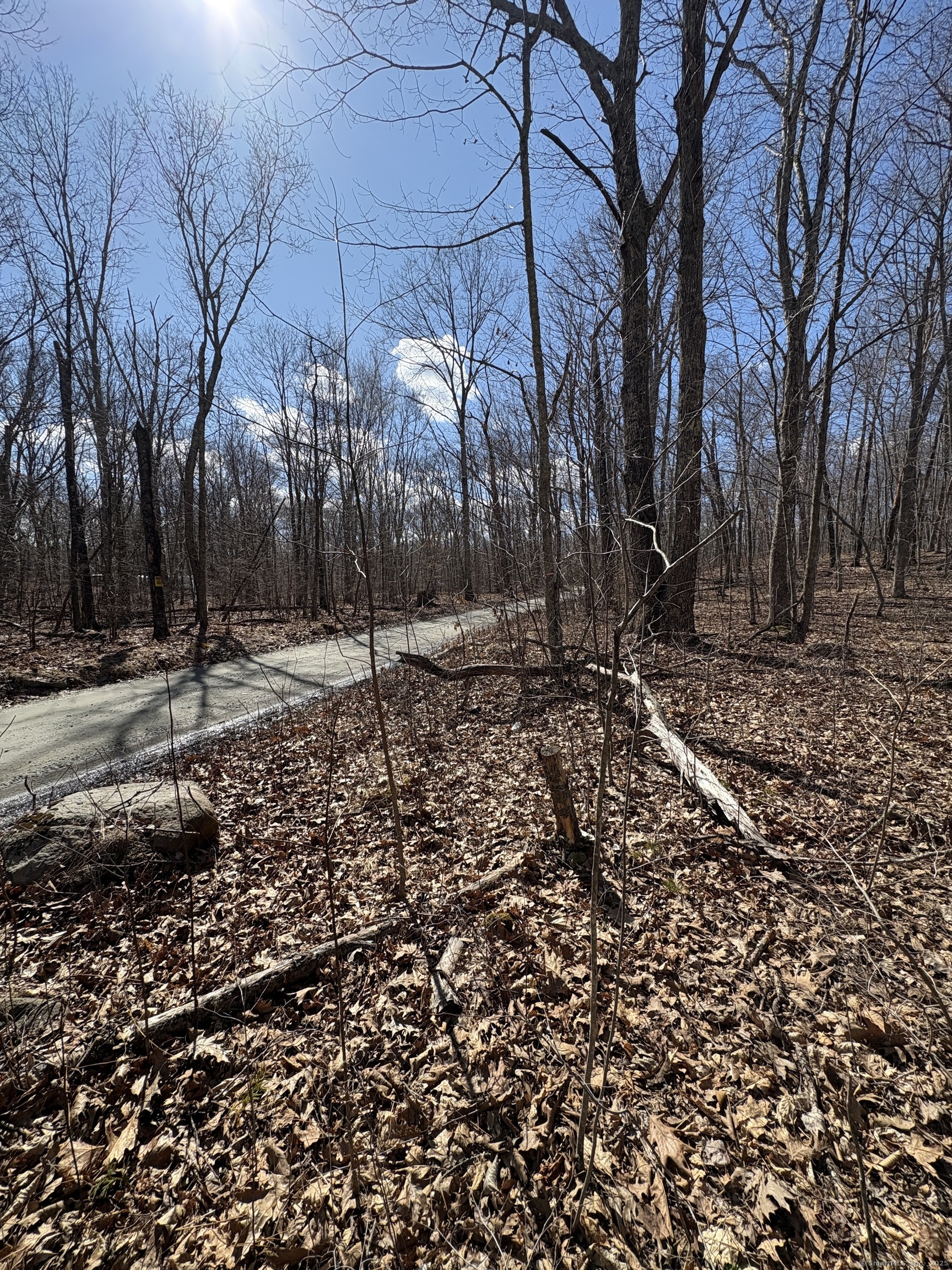 Davidson Road, Colchester, Connecticut image 19