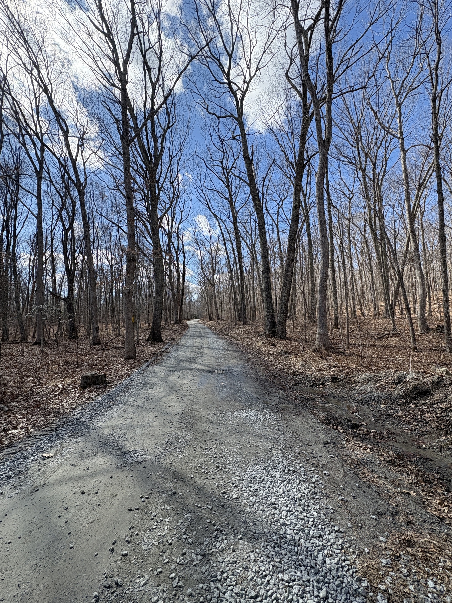 Davidson Road, Colchester, Connecticut image 8