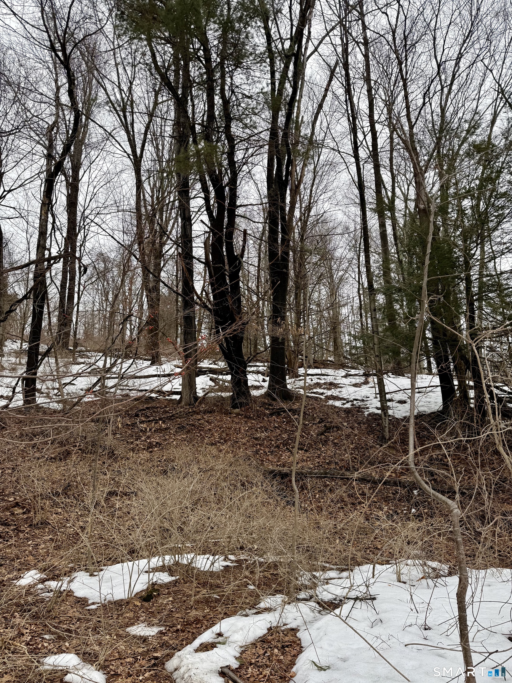 1092 Hickory Hill Road