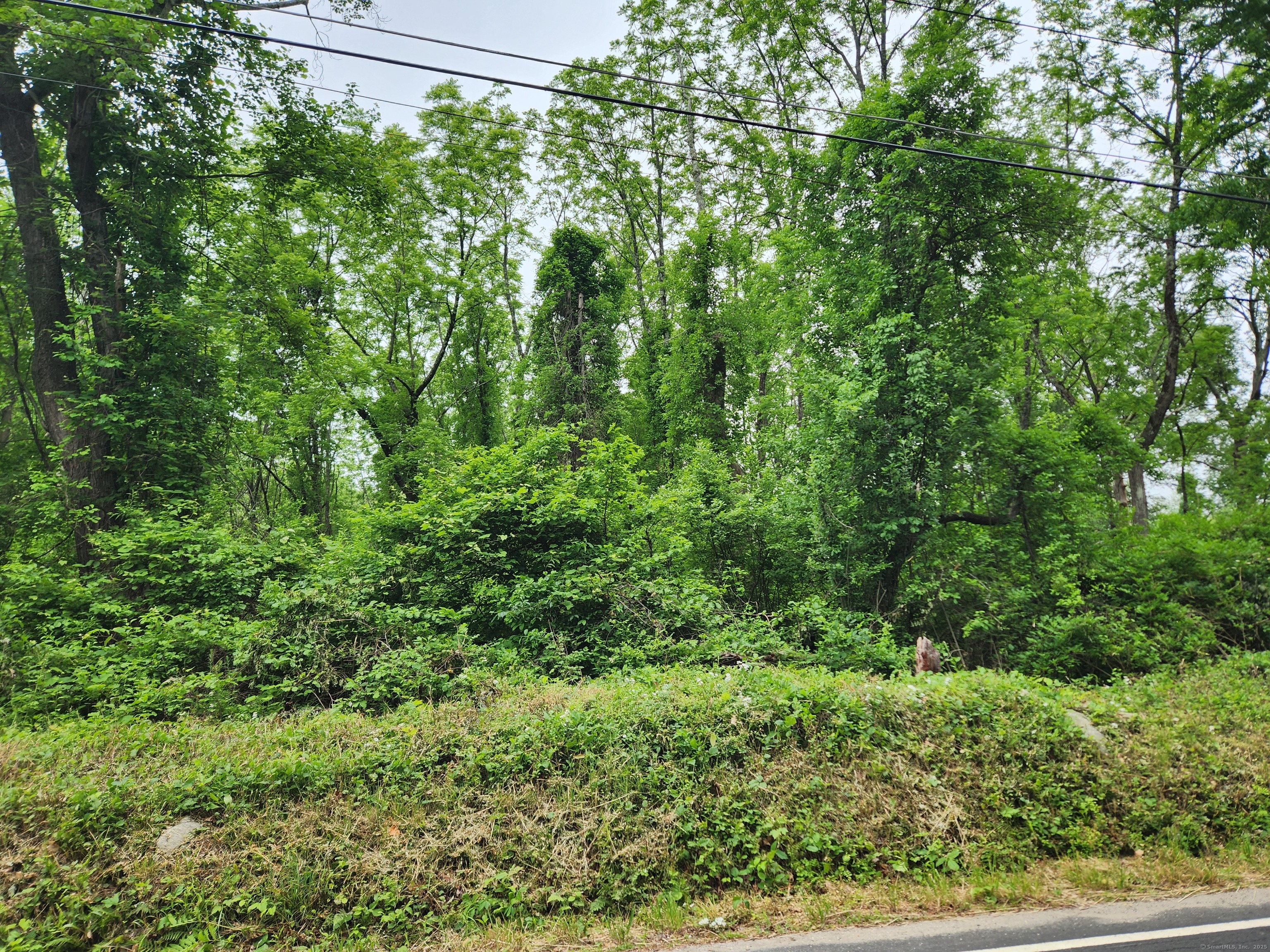 85 Loomis Road