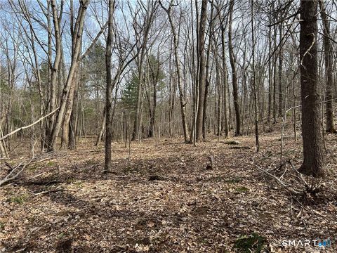 Photo of 106 Church Street, Brooklyn, CT 06234 (MLS # 24167102)