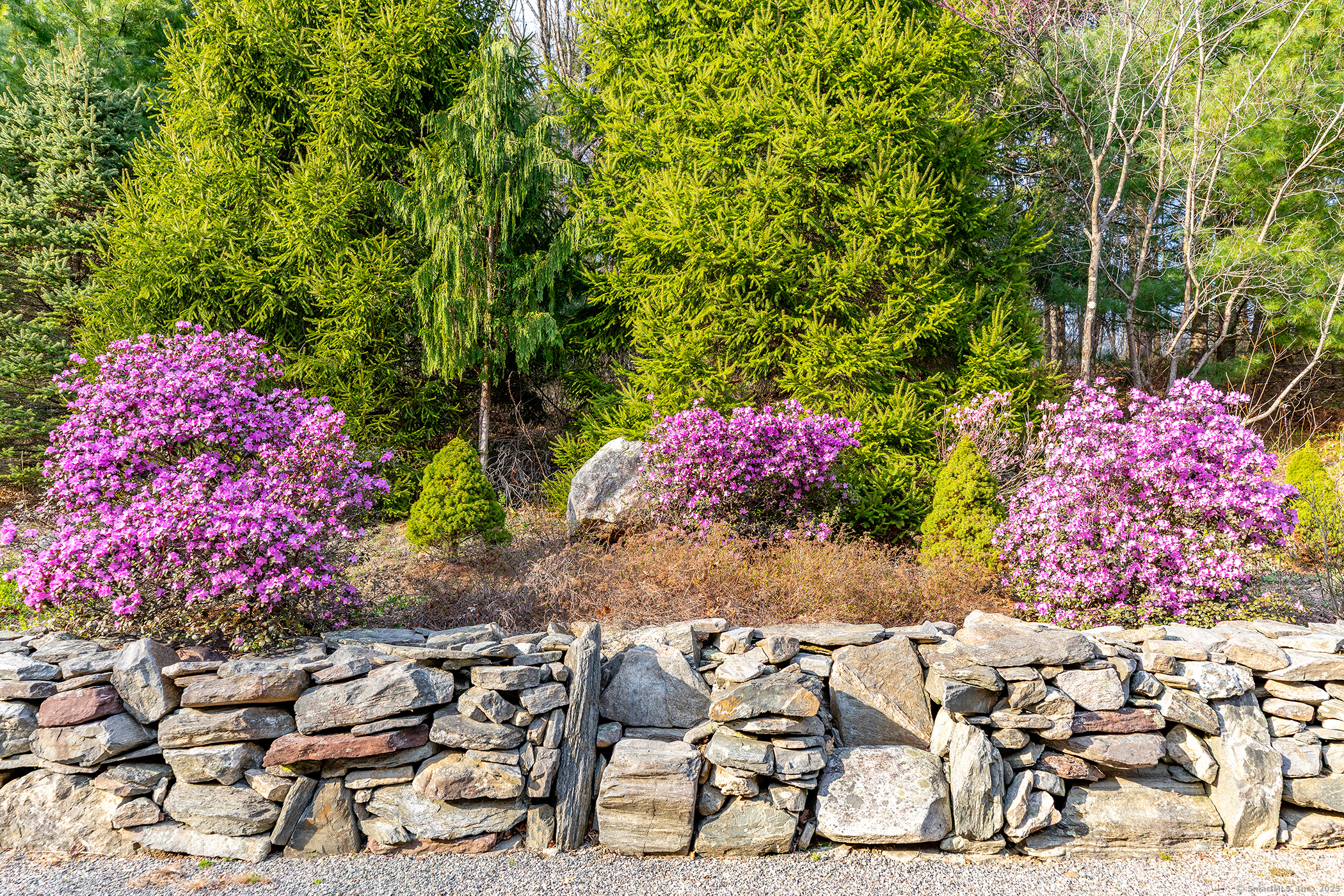 25 Spruce Drive, Litchfield, Connecticut image 31