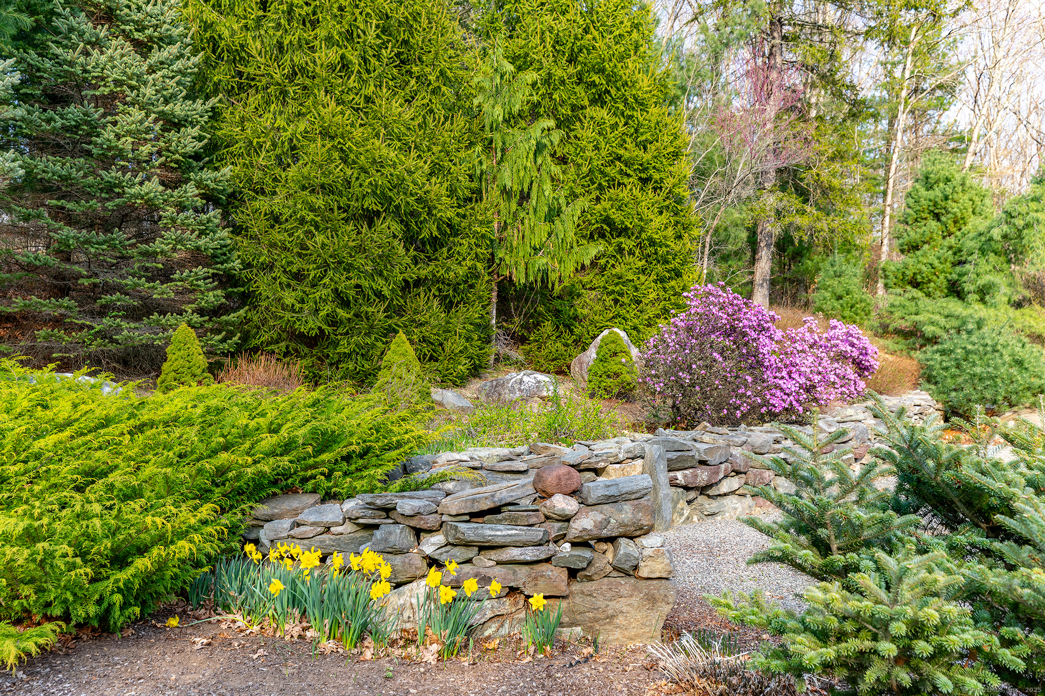 25 Spruce Drive, Litchfield, Connecticut image 30