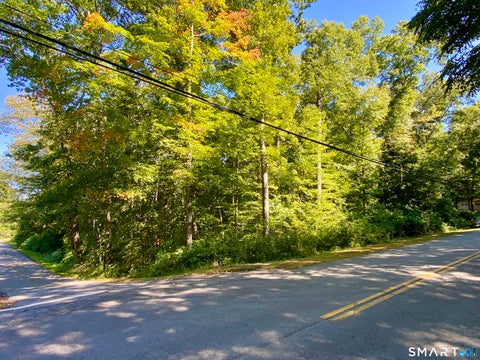 Vacant Land For Sale - Seagraves Road<br/> Coventry, CT 06238