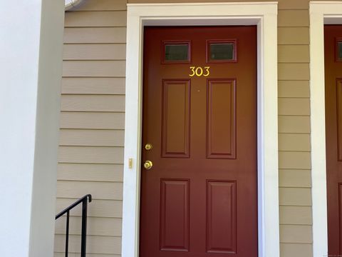 20 Orchard Street 303 Brookfield CT 06804