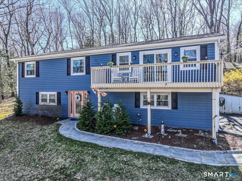 Photo of 156 Stadley Rough Road, Danbury, CT 06811 (MLS # 24167114)