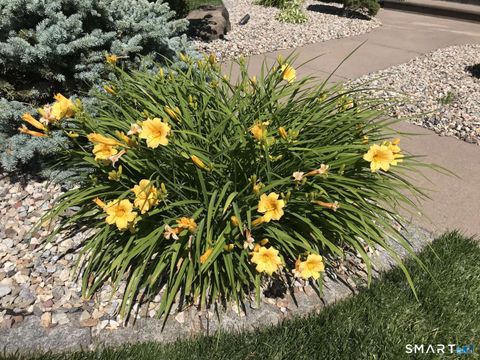 Tiny photo for 5 Westmont Road, Wethersfield, CT 06109 (MLS # 24157434)