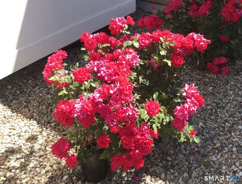 Tiny photo for 5 Westmont Road, Wethersfield, CT 06109 (MLS # 24157434)