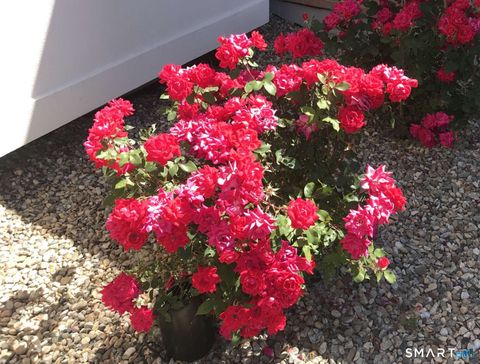 Tiny photo for 5 Westmont Road, Wethersfield, CT 06109 (MLS # 24157434)