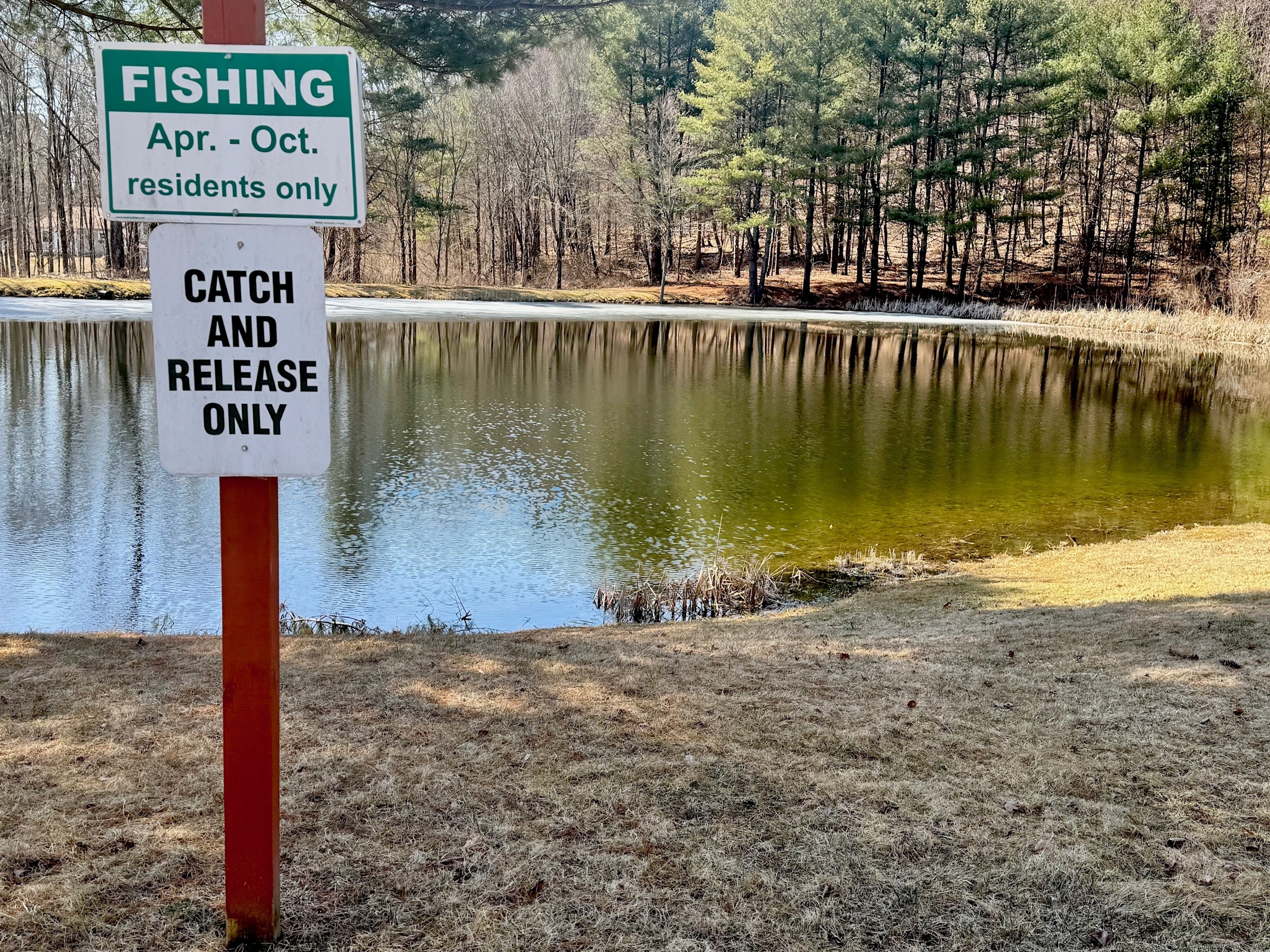 25 Route 197 Route #LOT 40, Woodstock, Connecticut image 13