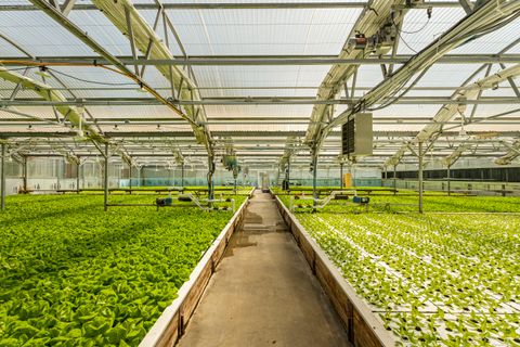 Tiny photo for 57 Northwest Corner Road, Preston, CT 06365 (MLS # 24121927)