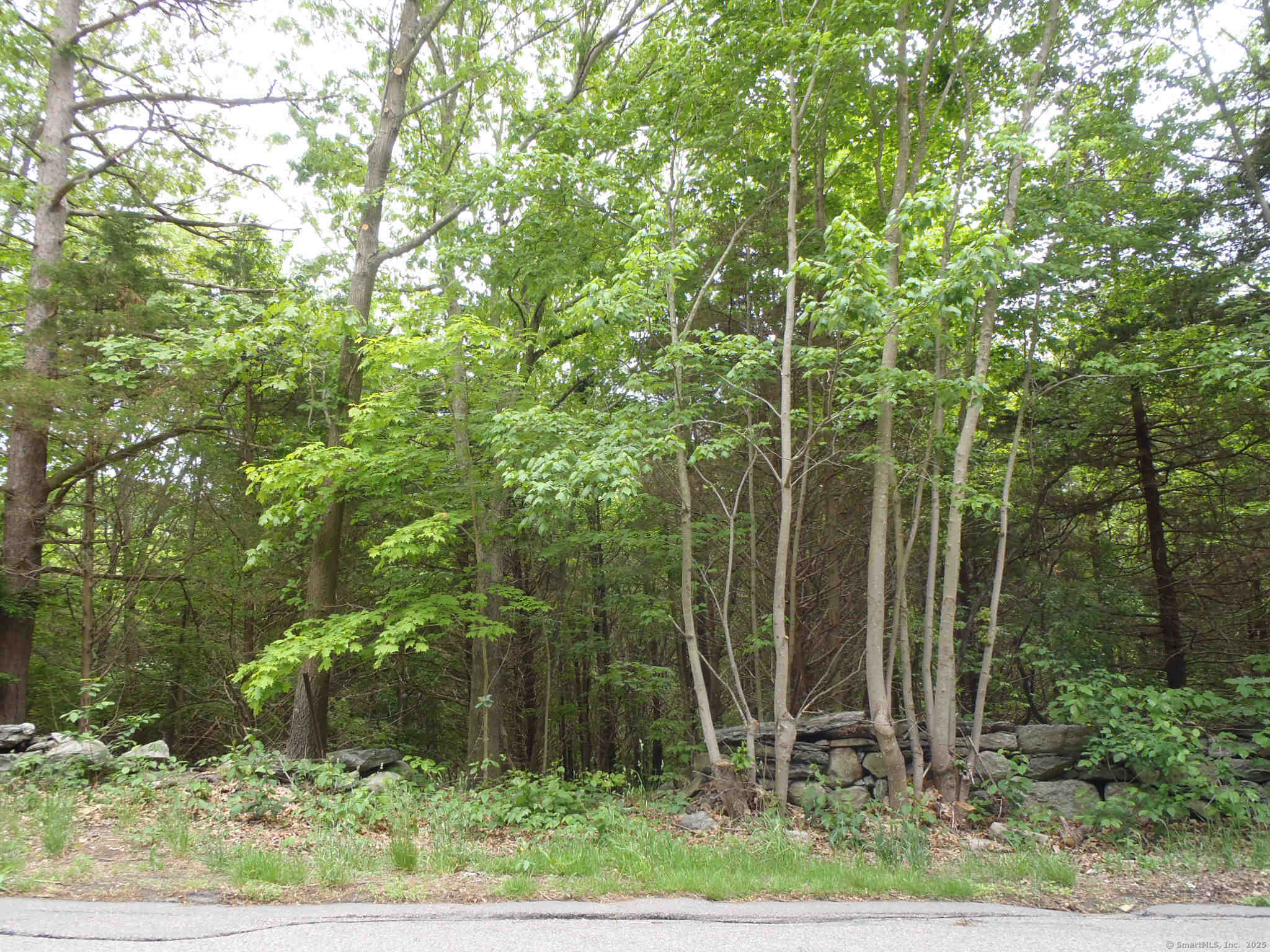 47 Huntington Avenue, Norwich, Connecticut image 1