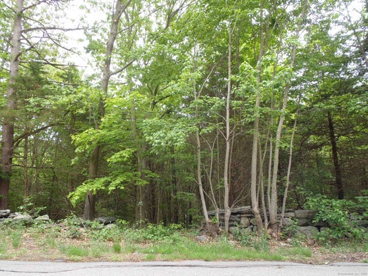 47 HUNTINGTON AVE, NORWICH, CT 06360 - Image c3829f2bbcc470e2b8484bd3cef1c3f2/3419040326